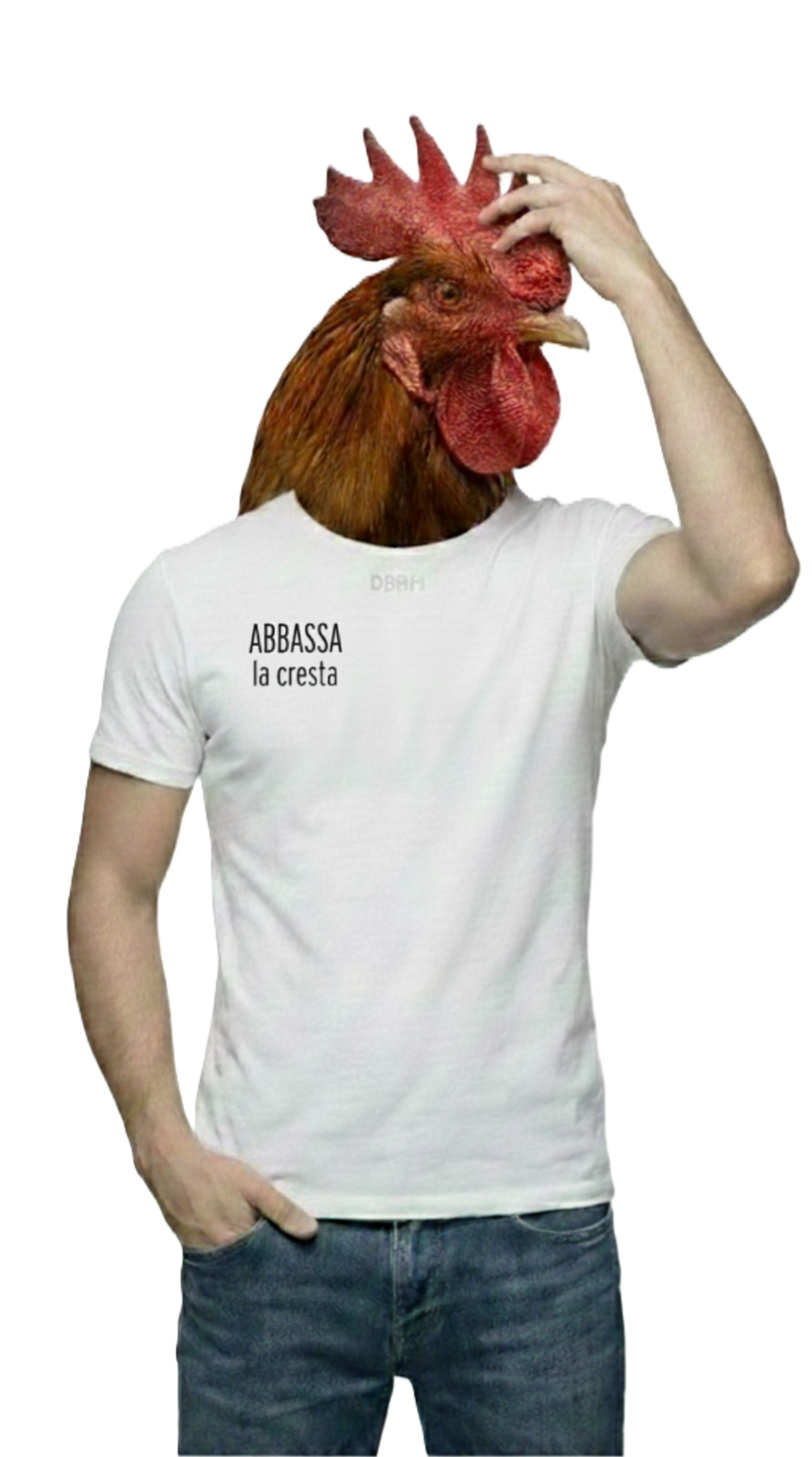 ABBASSA la cresta