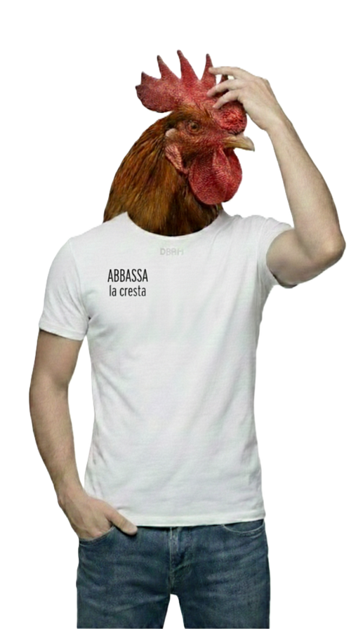 ABBASSA la cresta