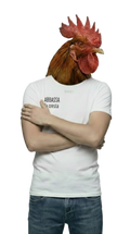 ABBASSA la cresta
