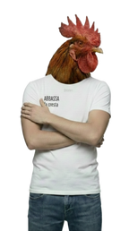ABBASSA la cresta