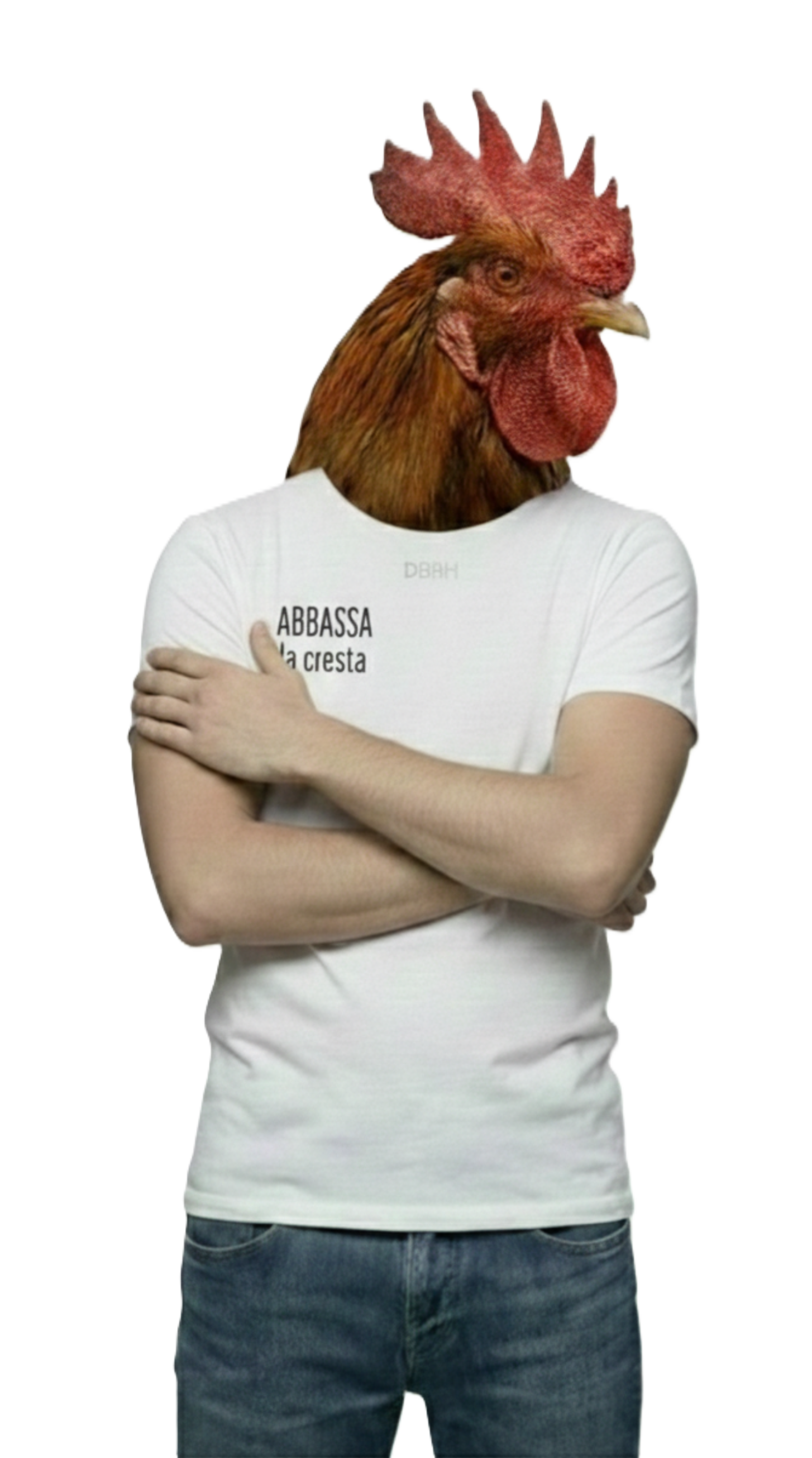 ABBASSA la cresta